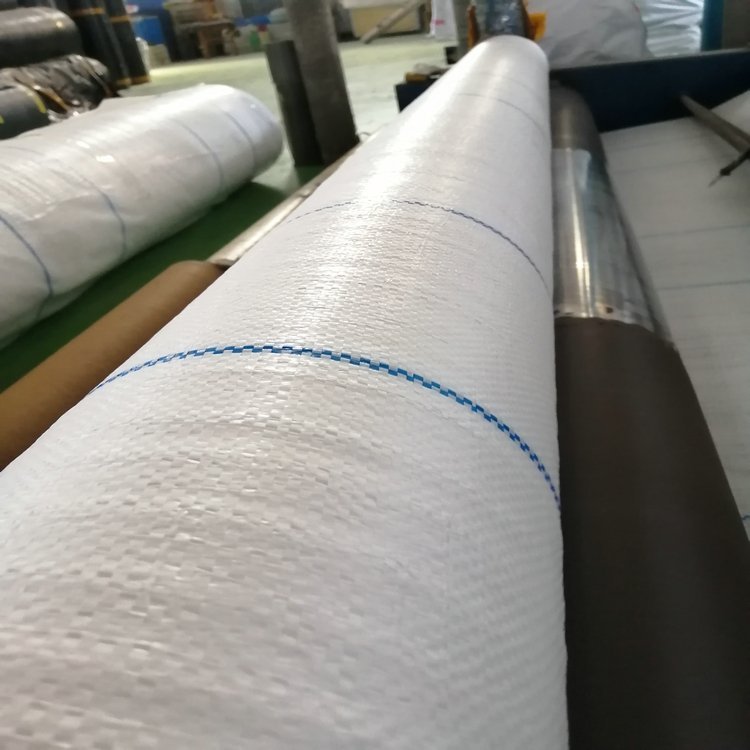 塑编布规格详解 聚乙烯PE编织布与聚丙烯PP塑编布